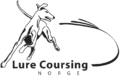 LURE COURSING NORGE