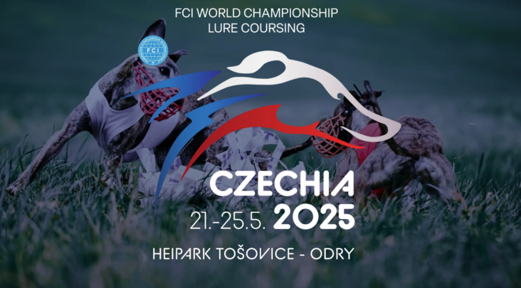 WCC 2025