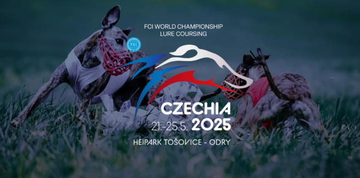 Lure coursing VM 2025
